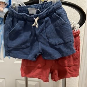 Shorts from Zara in size 2-3